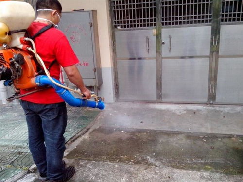 鄭州加強進口食品消毒檢測服務 筑牢食品安全防線，守護市民健康
